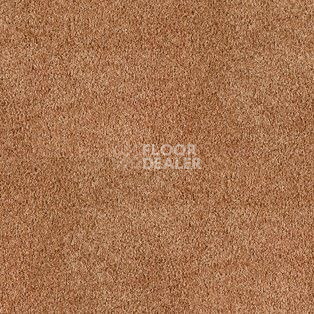 Ковролин AW Parana 84 фото 1 | FLOORDEALER